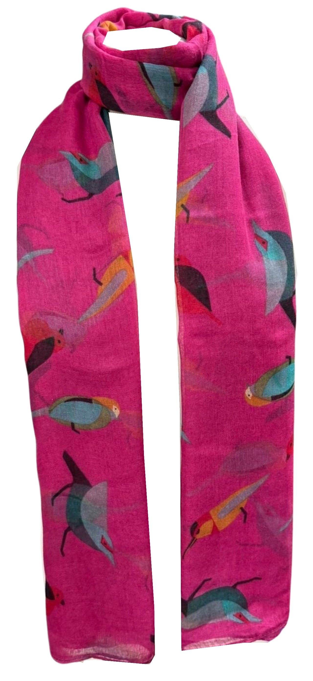 Winter Christmas Robin Bird Print Girls Lady Women Colorful Long Cute Scarf Wraps Shawl Soft Scarves Maxi